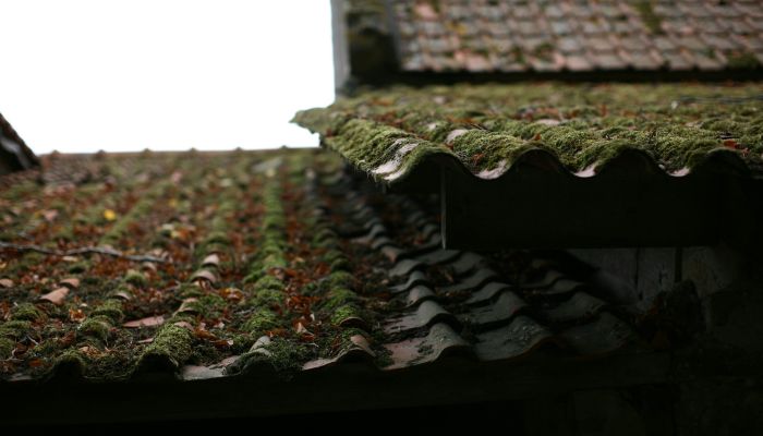 Comment bien choisir votre traitement hydrofuge ?